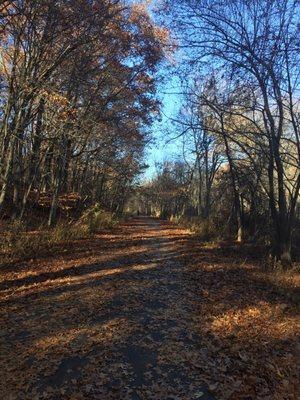 Autumn in full effect