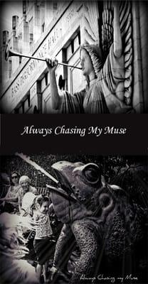 Always Chasing My Muse Photography