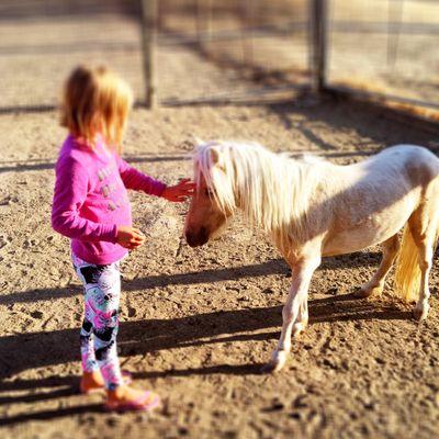 Figueroa Mountain Farmhouse