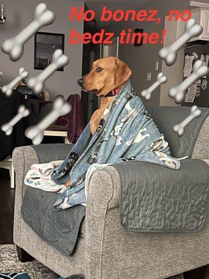 Sitter Solutions Plus