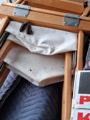 My Space Office & Storage