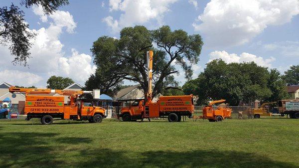 Howard's Tree Service