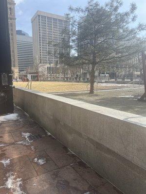 Apparently we have disc golf now?