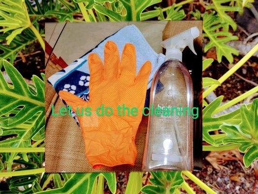 Rosaline's Cleaning Service