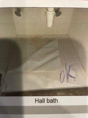 Sanders Pest Control