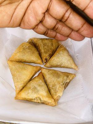 Samosa Curry Roll (8)