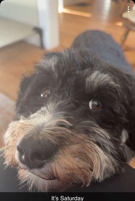 Great Full Life Massage