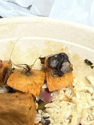 Good Eats Healthy Living