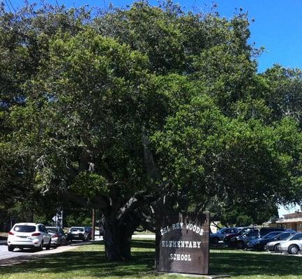 Del Rey Woods Elementary School