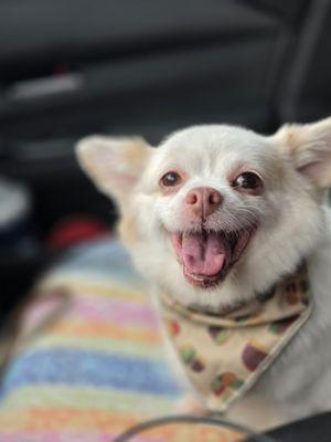 Lulu enjoyed her bath today! THANK YOU!