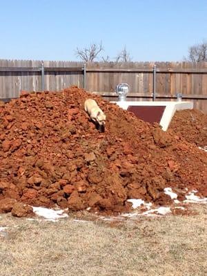 Area Septic Services