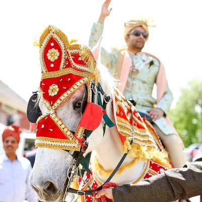 Equishare Baraat Horses, Rickshaws & Carriages