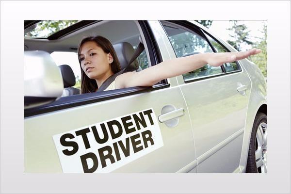 Desoto E-Z Driving School