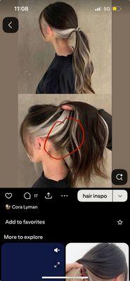 Inspiration (the photo my daughter showed Samone so she knew what she wanted)