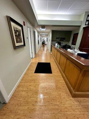 Bluest Cleaning Services