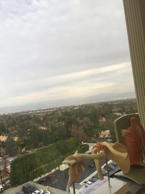 Abrams Shirzad A MD Orthpdc