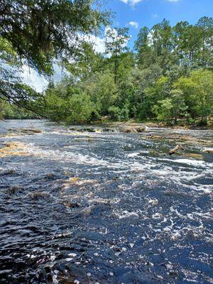 Suwannee River rapids.