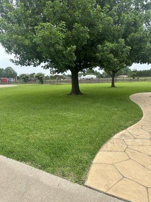 Abracadabra Lawn Pest & Weed Control