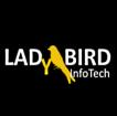 Ladybird InfoTech