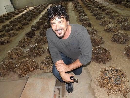 DeCesare Chiropractic Office