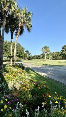Country Club of Hilton Head