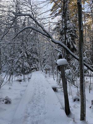 Marguerite Gahagan Nature Preserve