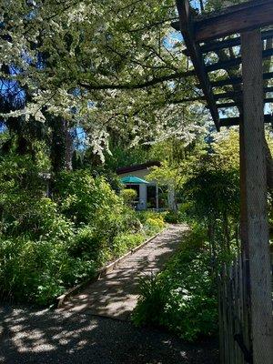 A scenic walkway around our tranquil garden.