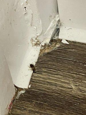 Woodbridge Apartments