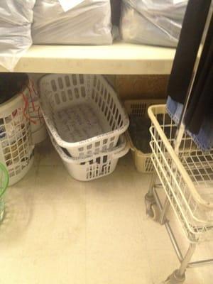 My basket !? Apparently they own it now