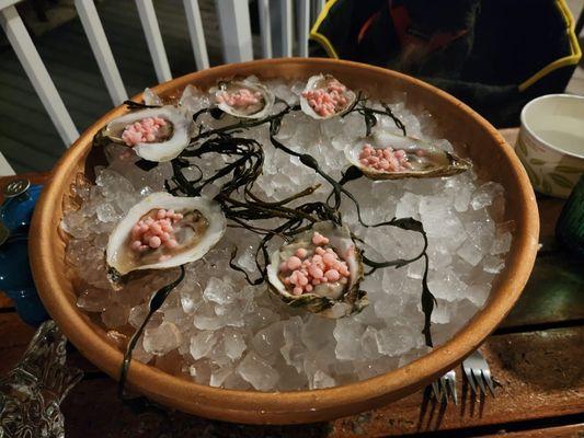Fresh oysters with ginger beer ponzu and horseradish gari pearls
