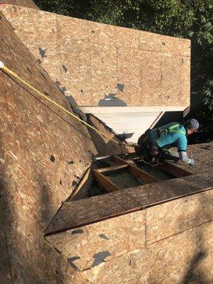 Black Diamond Renovators