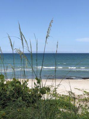 Just off the Beautiful Beach