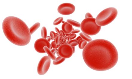 AVAM Cancer & Blood Specialists