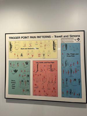 Spine & Joint Associates