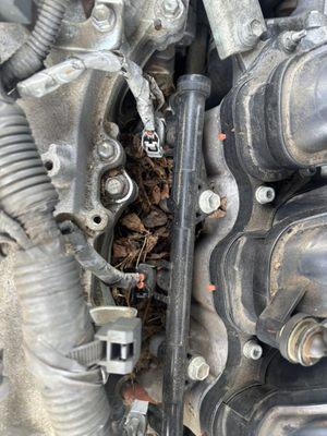 Winston Auto Repair & Services