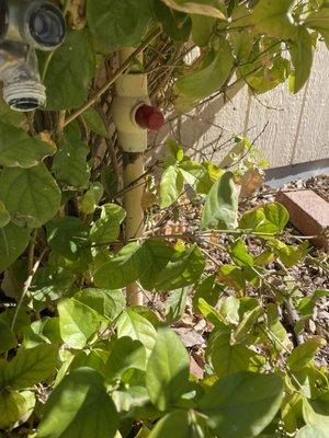 RNR Service Solutions