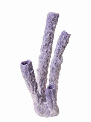 West Coast Creations