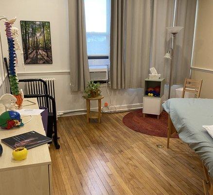 Bright, private treatment room at Dreyfus Wellness Integrative Physical Therapy.