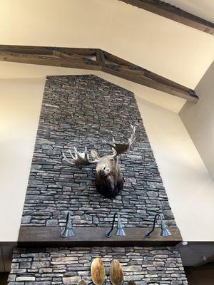 Rocky Mountain Animal Hospital