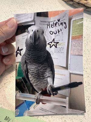 Animal and Bird Medical Center of Palm Harbor