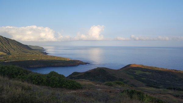 Karen M Kato - Hawai'i Life