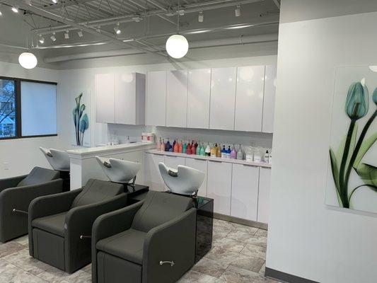 Alexander Hair Creatives Shampoo and Treatment Area