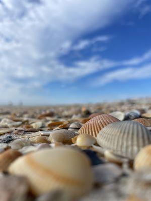 St George Island State Park