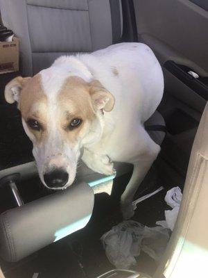 We love getting our nails done with Robin. She's really nice