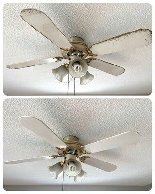 Fan blades and lights dust and scum deep cleaning