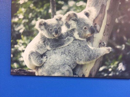 Los Gatos Pediatrics