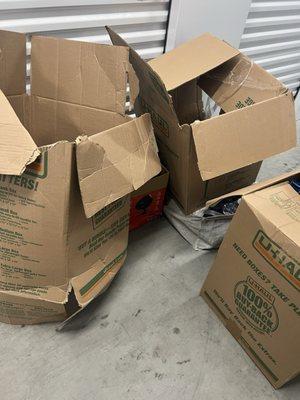 Muscle Delivery & Moving