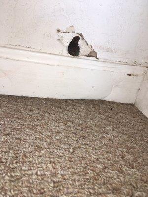 A I M Rental Properties