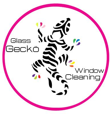 Glass Gecko