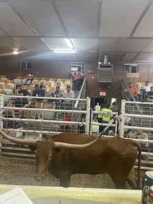 B&B Livestock Sales